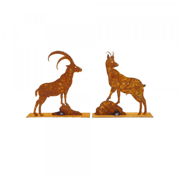 Edelrost Steinbock und Gams