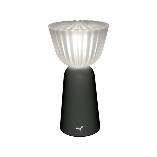 Fermiob Swiing Lampe Anthrazit