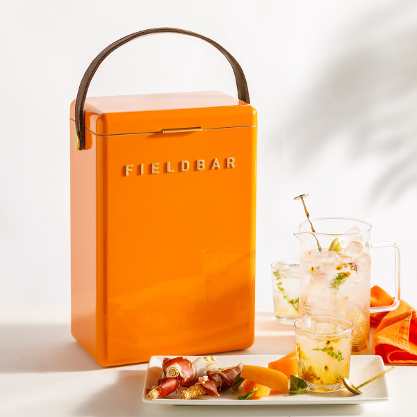Fieldbar Kühlbox Orchard Orange