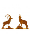 Edelrost Steinbock und Gams auf Platte